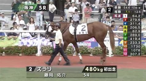 Jra Fun On Twitter 阪神5r2歳新馬に、ズラリ。 兄姉には レギス、バリキ、アビス、ハゼル と3文字の名前が