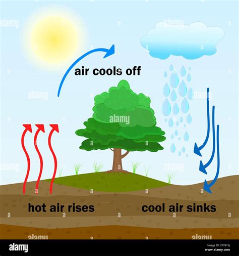 Cloud Formation Diagram