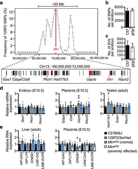 The Mtrr Gt Mouse Line Is Genetically Stable A C Whole Genome