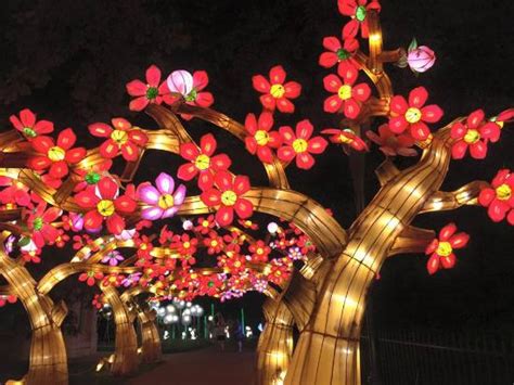 Missouri Botanical Garden Lantern Festival | Fasci Garden