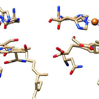 Binuclear active site structures of CcO showing A side on μη 1 η 2