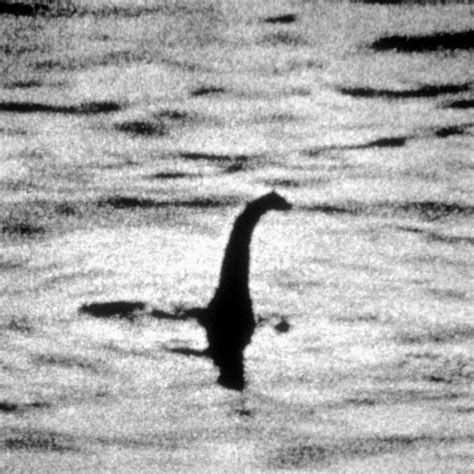 The Loch Ness monster video: 'The best footage in decades - the loch ...