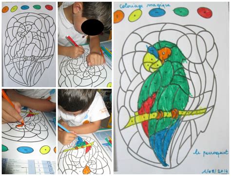 Coloriage Magique Le Perroquet