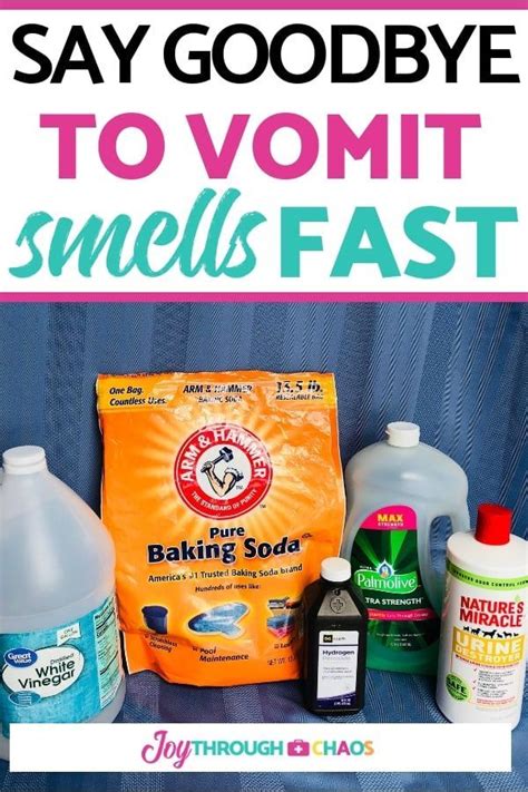 How To Remove Vomit Smell Fast Cleaning Hacks Cleaning Deep