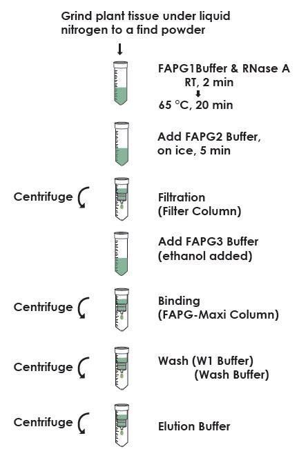 株式会社チヨダサイエンス Favorprep Plant Genomic Dna Extraction Maxi Kit