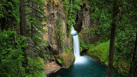 Beautiful Waterfall From Rock Pouring On River Green Trees Bushes Plants Hd Nature Wallpapers