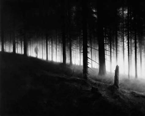 Robert Longo