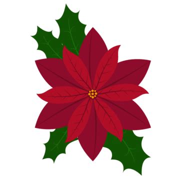 Pointsettia Clipart Christmas Poinsettia Flower Vector Watercolor