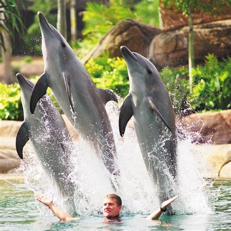 Sea World - 121 tips