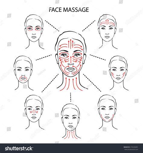 Face Reflexology Over 682 Royalty Free Licensable Stock Illustrations