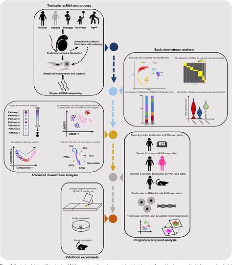 Figure 2 From Application Of Single Cell Rna Sequencing On Human