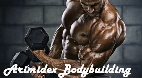 Arimidex Bodybuilding - Buy Arimidex - Dragon Pharma