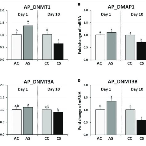 Differential Changes In Expression Of Dna Methyltransferases Dnmt