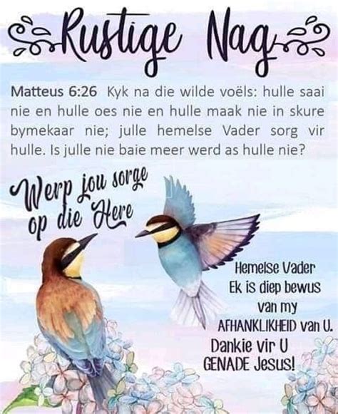 Pin By Henriette De On Afrikaans Goeie Nag Good Night Blessings