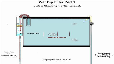 Aquarium Wet Dry Filters How Do They Work Youtube