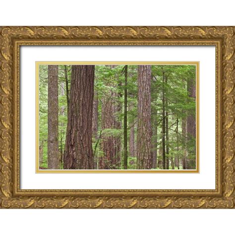 Paulson Don 14x11 Gold Ornate Wood Framed With Double Matting Museum