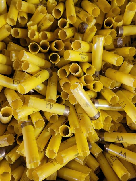 1000 Winchester AA HS 20 Gauge Hulls Trapshooters Forum