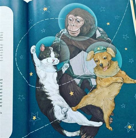 Книга: Животные-космонавты. Первые покорители космоса - Дарья Чудная ...