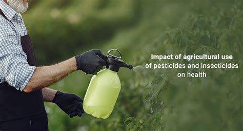 Insecticides And Pesticides