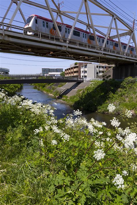 東急田園都市線 202352 鉄道の写真 （昔・今）