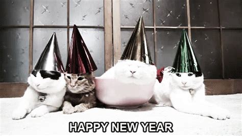 Kitties  Holidays Happyholidays Newyears Discover And Share S