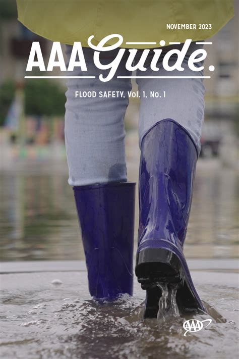 Safety Tips For Floodsguide