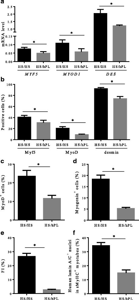 Influence Of HPL On Myogenic Differentiation Potential Of HMuStem