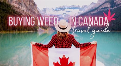 Dos And Don Ts Of Sex On Edibles Weed Mama