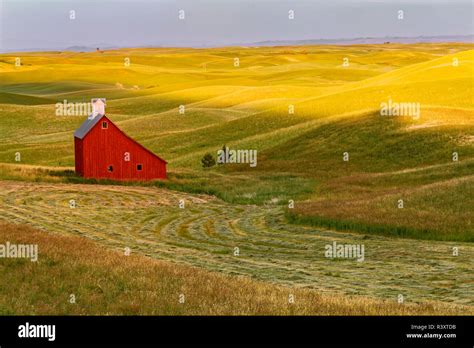 Salt Box Architecture Of Red Barn Near Moscow Palouse Region Of