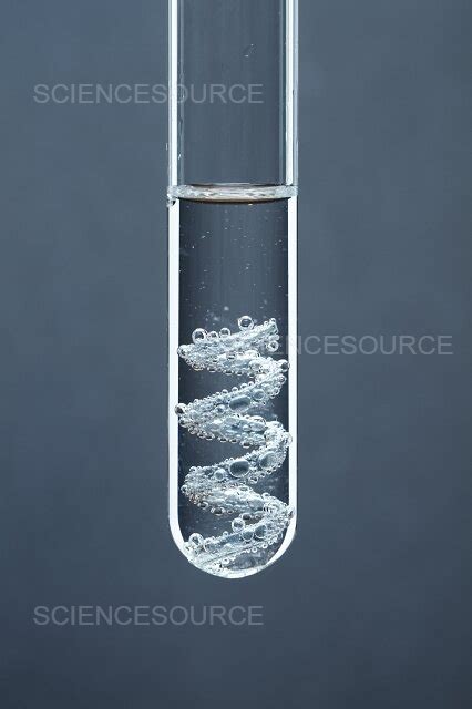 Photograph Zinc Reacts With Hydrochloric Acid Science Source Images