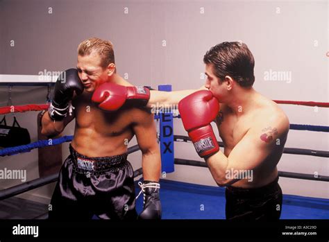 Two Boxers Sparring With Each Other As One Lands A Right Cross Flush On