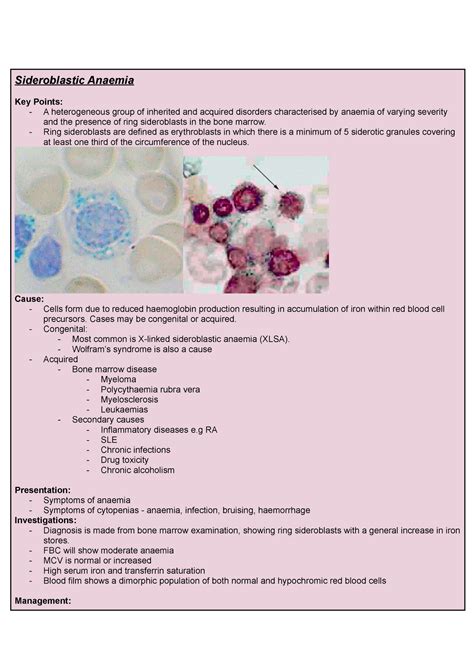 Sideroblastic Anaemia Ring Sideroblasts Are Defined As Erythroblasts In Which There Is A