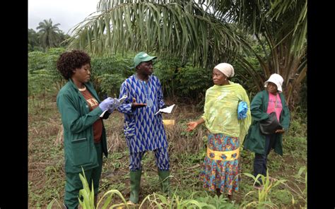 Farmer field trials as 'musical' hubs for knowledge exchange and ...