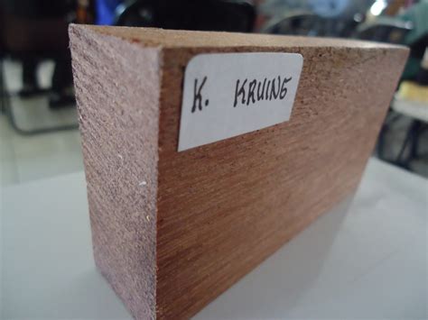 Kayu Kruing | Woodstock - Indonesian Plywood Exporter