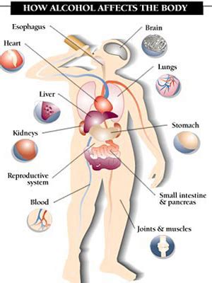 Long Term Effects of Alcohol Abuse