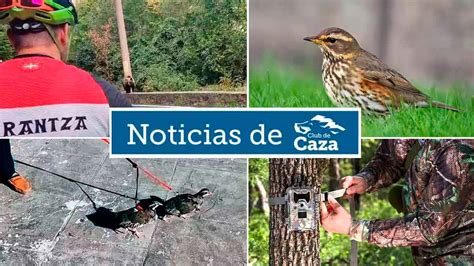 Noticias Semanales Con Club De Caza 20 10 23