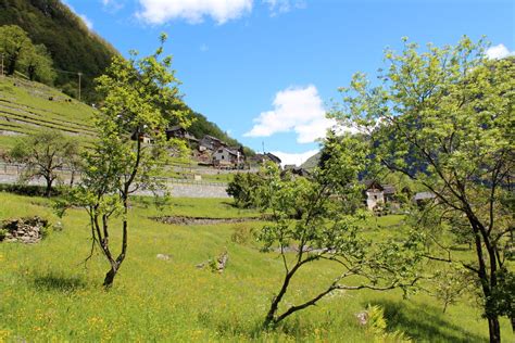 Invallemaggia Il Portale Per Chi Vive La Vallemaggia Linescio E