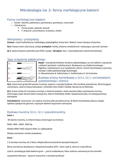 Mikrobiologia W Formy Morfologiczne Bakterii Mikrobiologia W