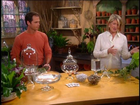 Marthas Classic Thanksgiving The Holiday Collection 2005 Dvd Reviews