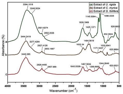 Ftir Spectra Of Different Marine Algal Aqueous Extracts A U Rigida Download Scientific