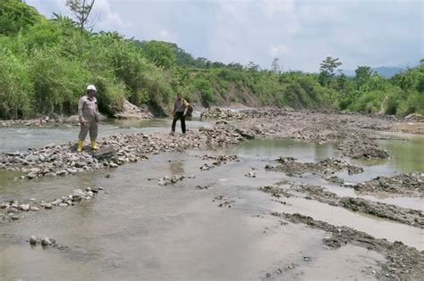 Terseret Arus Sungai Cigede 3 Bocah Di Bogor Ditemukan Tewas