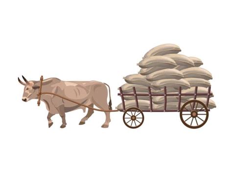 Best Bullock Cart Illustrations, Royalty-Free Vector Graphics & Clip Art - iStock