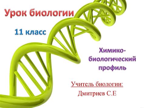 Мейоз - online presentation