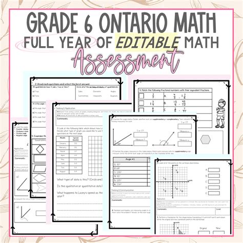 Grade 6 Ontario Math Assessments Stacey S Circle