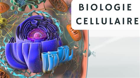 biologie cellulaire s1 introduction générale شرح بالدارجة YouTube