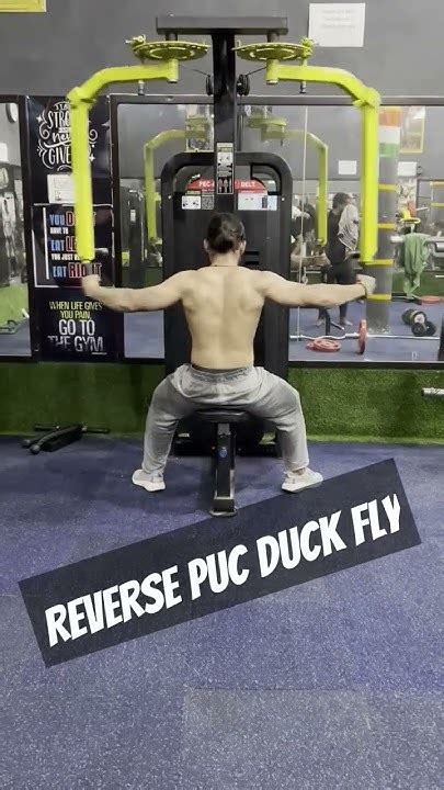 Reverse Puc Duck Fly Reardelt Exercisedeadlift Gymworkout Fitness