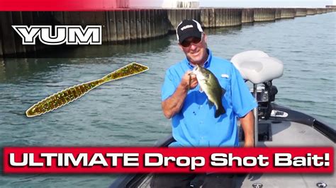 Bass Fishing With A Drop Shot On Lake Erie Finesse Baits Youtube