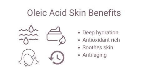 Linoleic Acid vs. Oleic Acid - Which Is Better? | Skincare Lab