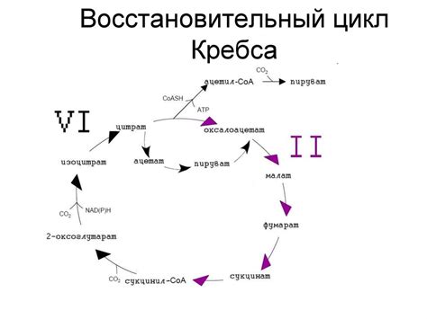 Как возникла жизнь - презентация онлайн