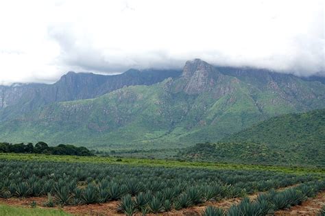 Usambara Mountains